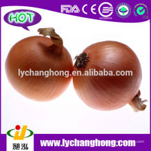 2014 Shandong Fresh Red Onion Lieferant aus China / Marktpreis